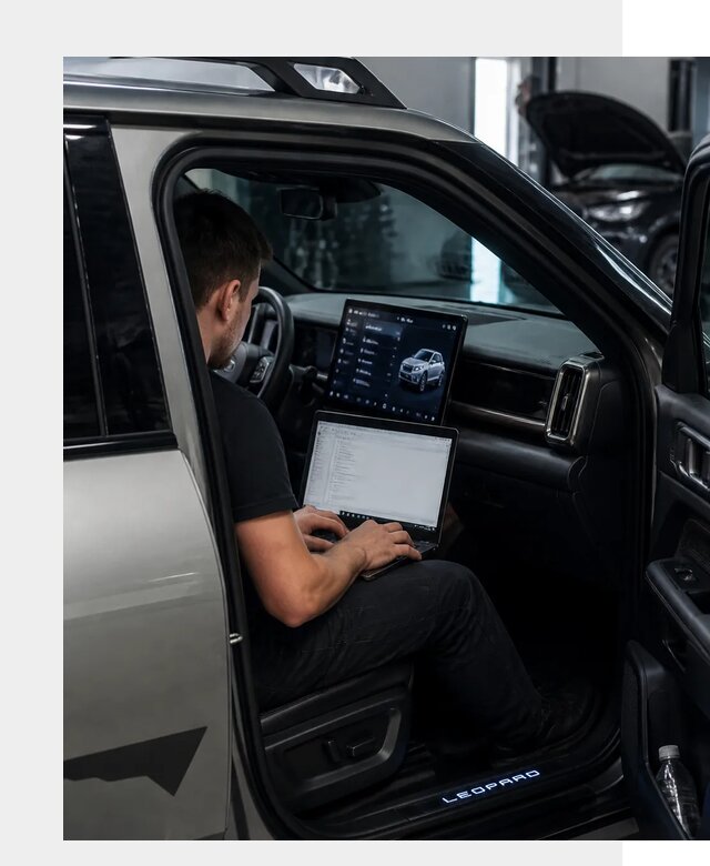 Русификация BYD Leopard 3 в Колпине по цене от 20527 р. | ФастМобиль-Клп